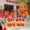 About Tohare Bharose Barham Baba Song